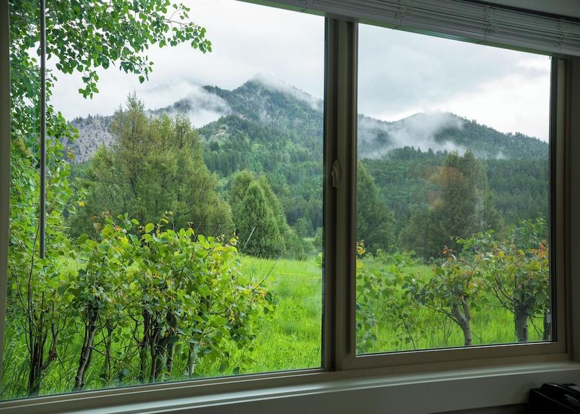 California Alpine Room