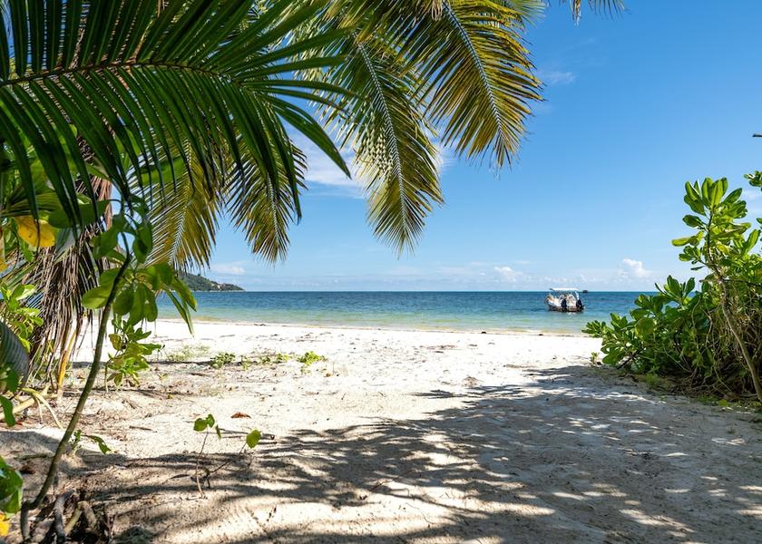Baie Sainte Anne Praslin Island Beach