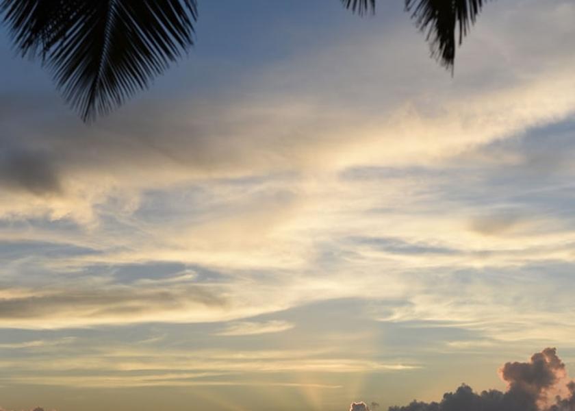 Samana Las Terrenas Exterior Detail