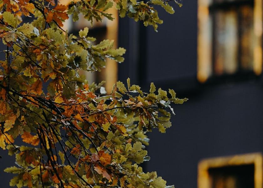  Riga Exterior Detail