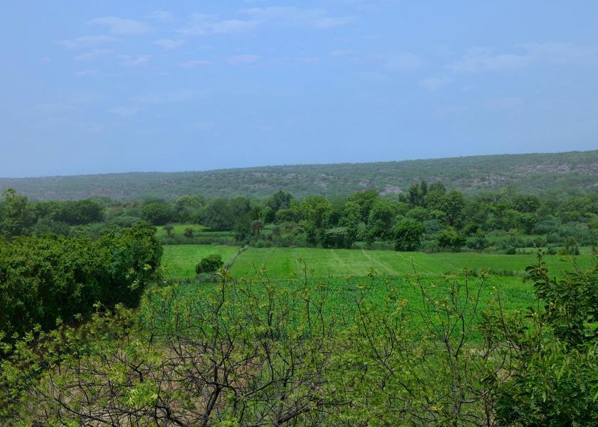 Haryana Faridabad Village View