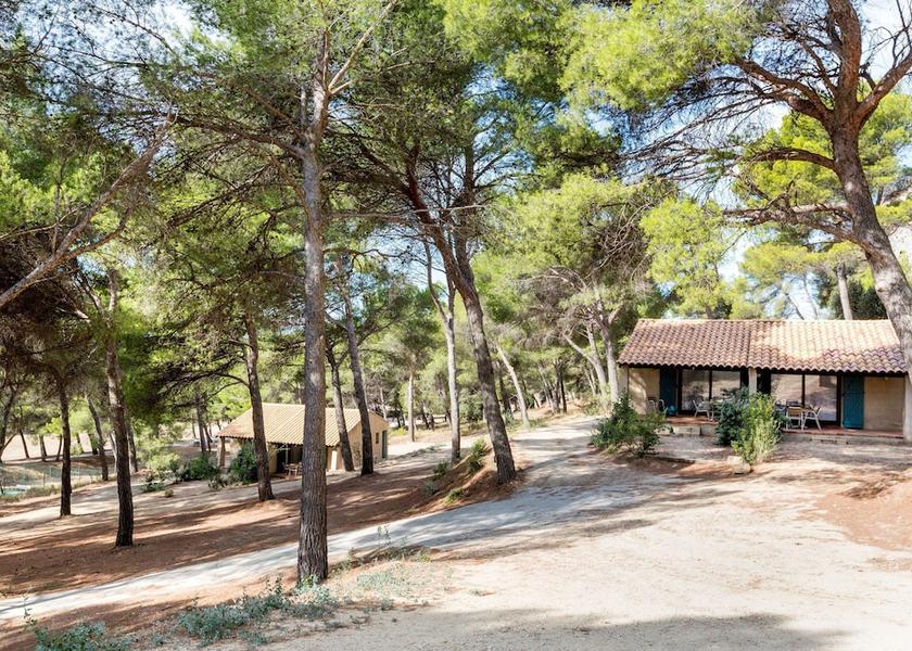 Provence - Alpes - Cote d'Azur Salon-de-Provence Exterior Detail