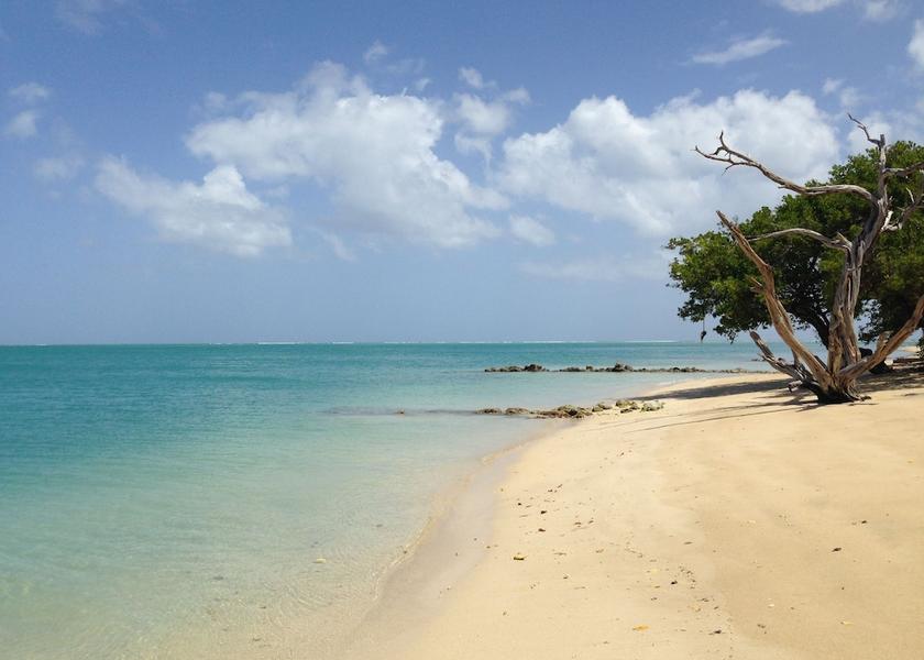  Buccoo Beach