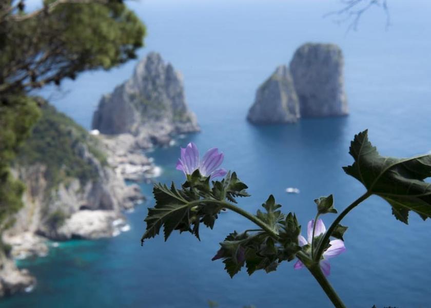 Campania Anacapri Beach