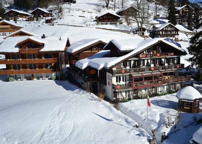 Canton of Bern Grindelwald Facade