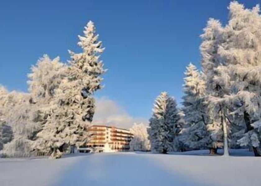 Valais Crans-Montana Exterior Detail