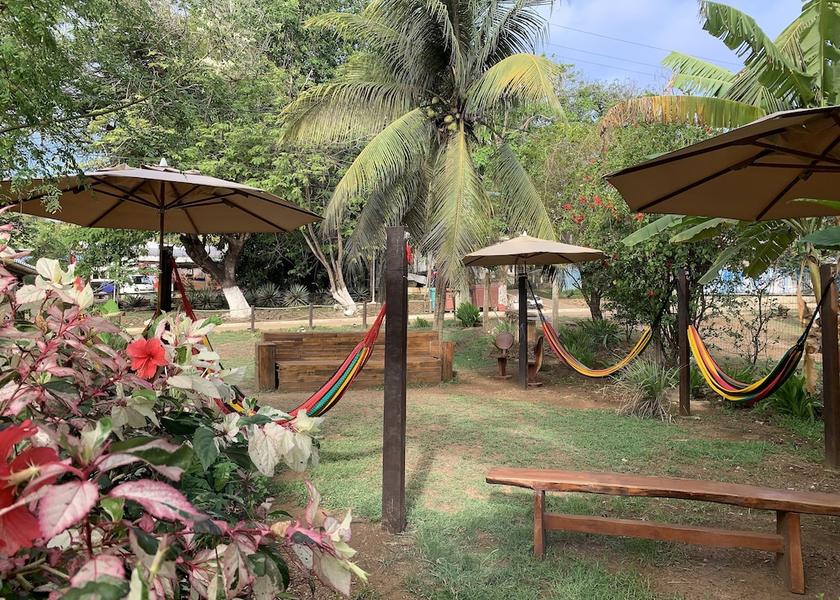 Pernambuco Fernando de Noronha Primary image