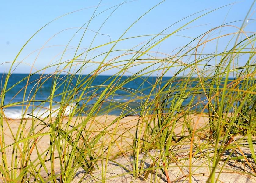 Florida Vero Beach Water-based activities