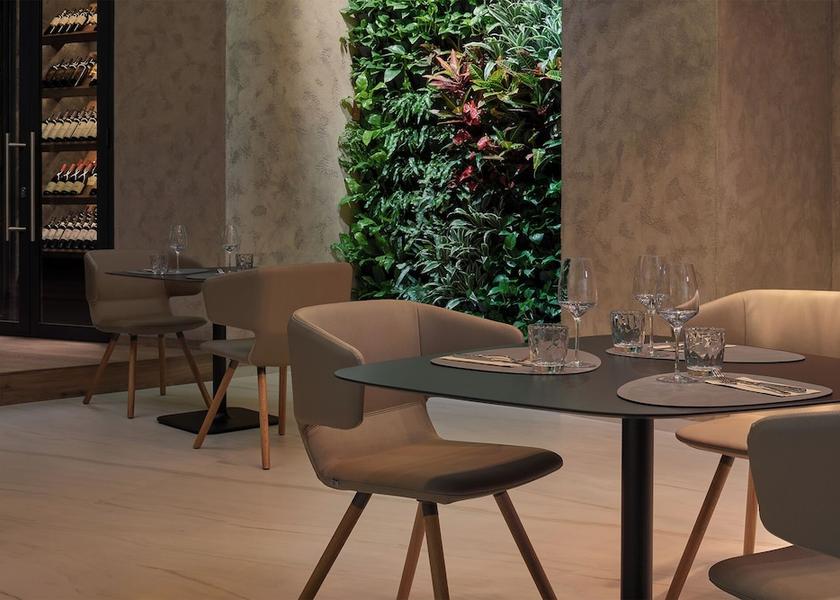 South Moravian Region Brno Restaurant