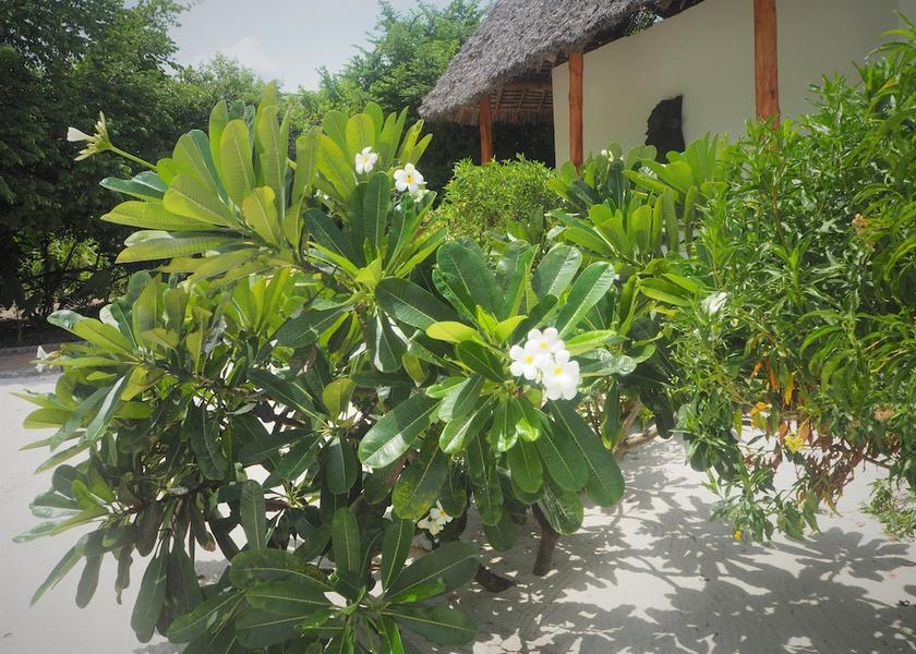 Unguja North Region Kiwengwa Garden