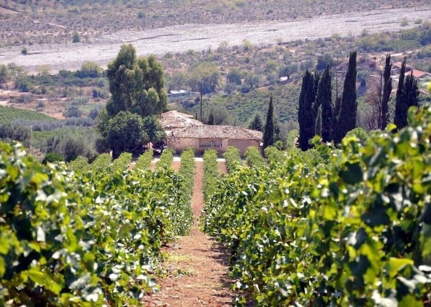 Peloponnese Region Kalamata Winery