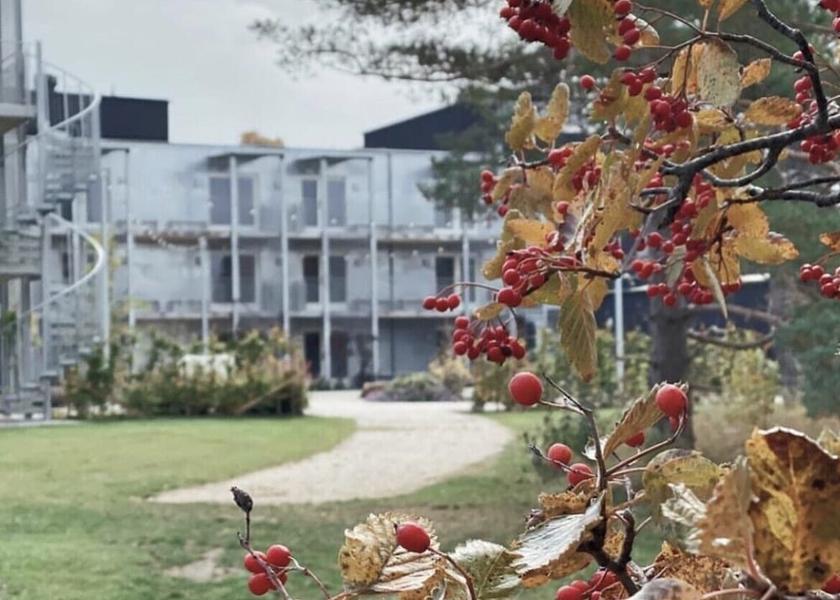 Gotland County Visby Exterior Detail