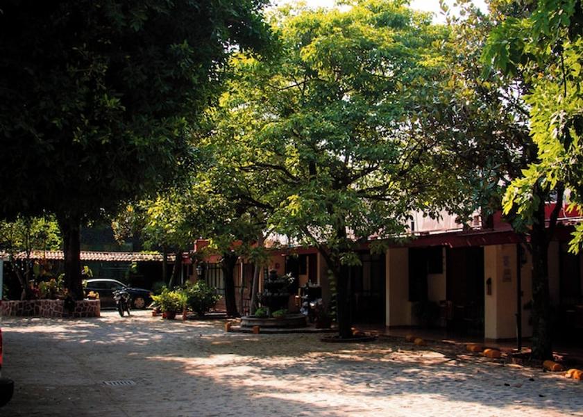 Jalisco Guadalajara Parking