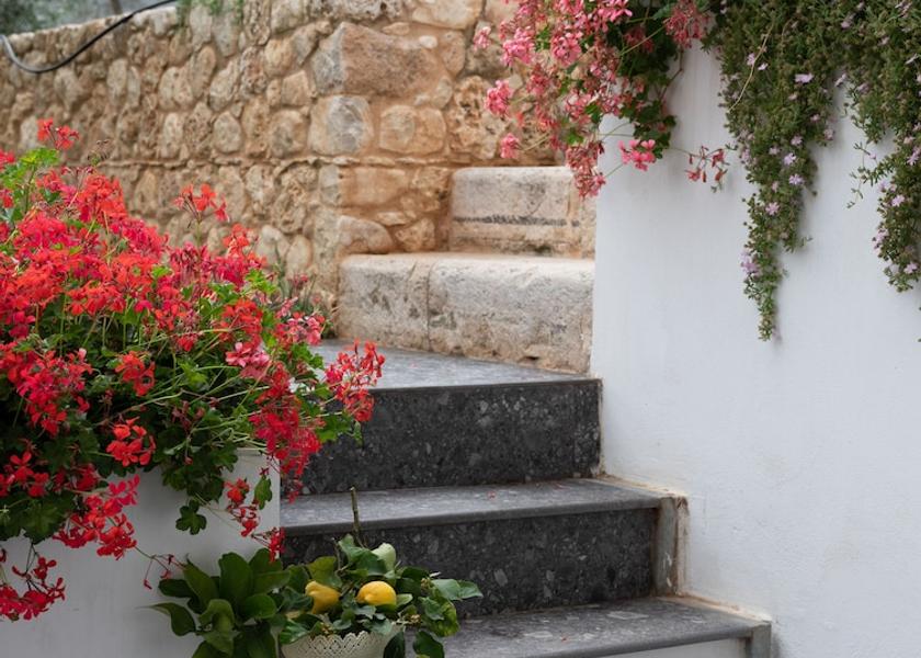 Puglia Mattinata Terrace