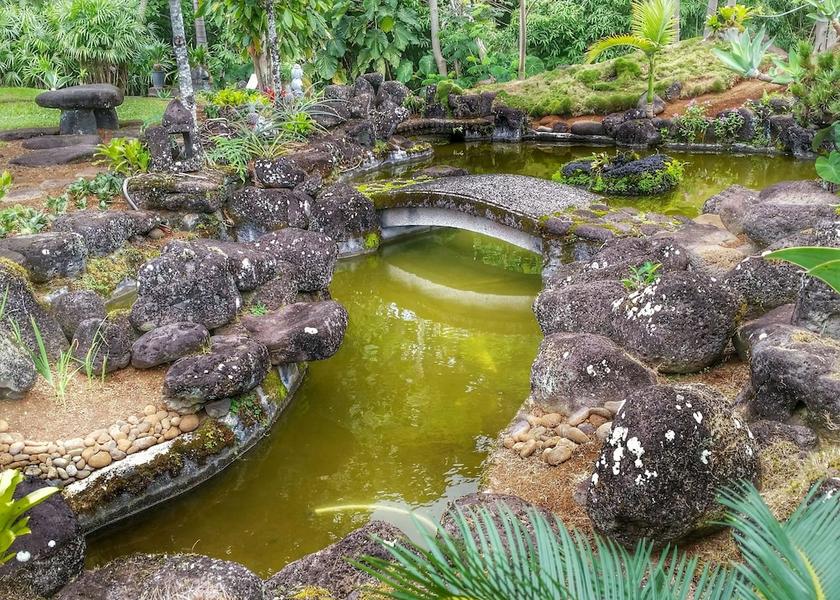 Hawaii Hilo Garden