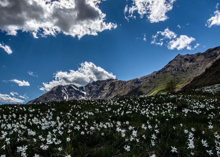 Piedmont Ivrea Exterior Detail