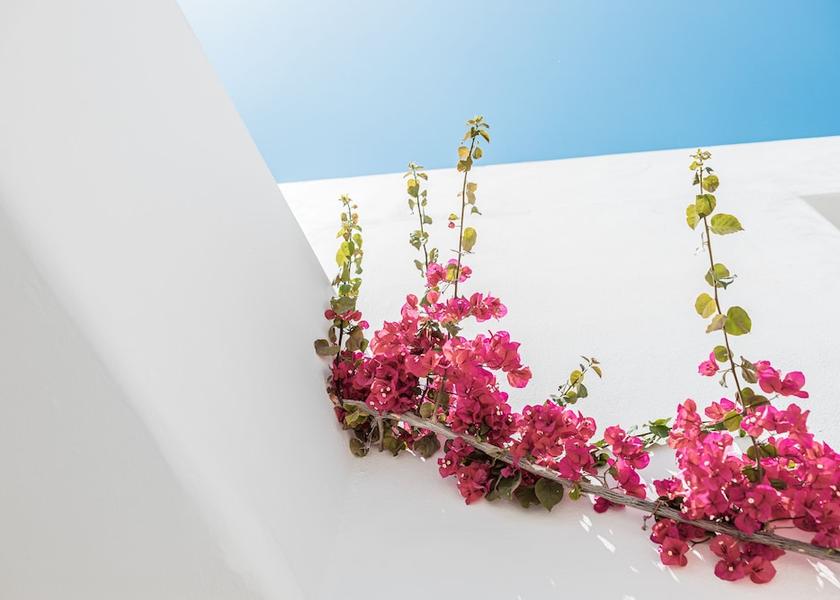 South Aegean Paros Exterior detail