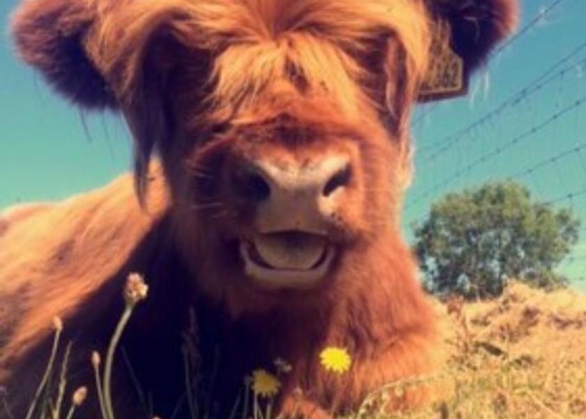 Scotland Fraserburgh Exterior Detail