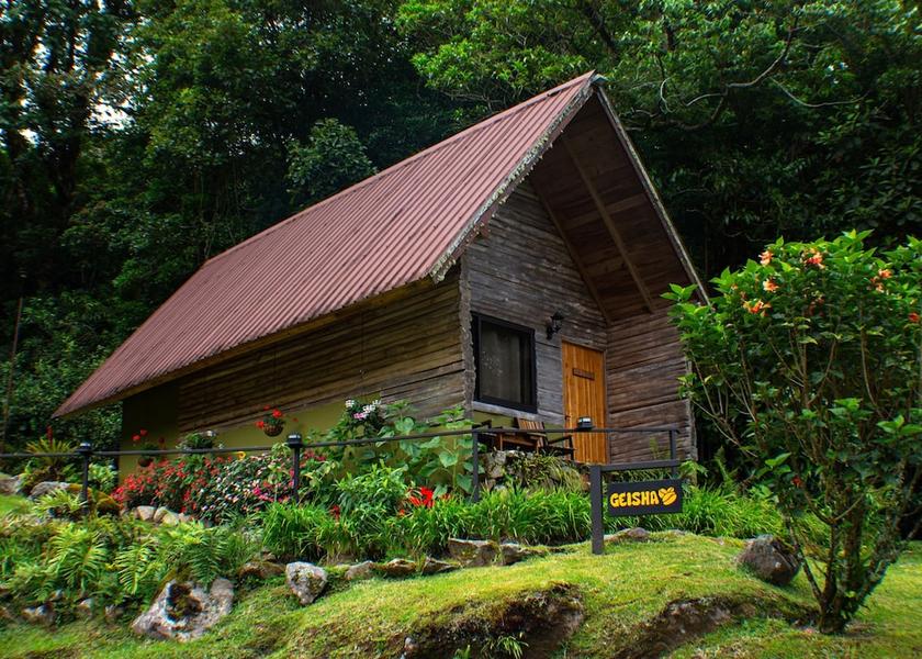Chiriqui Boquete Room