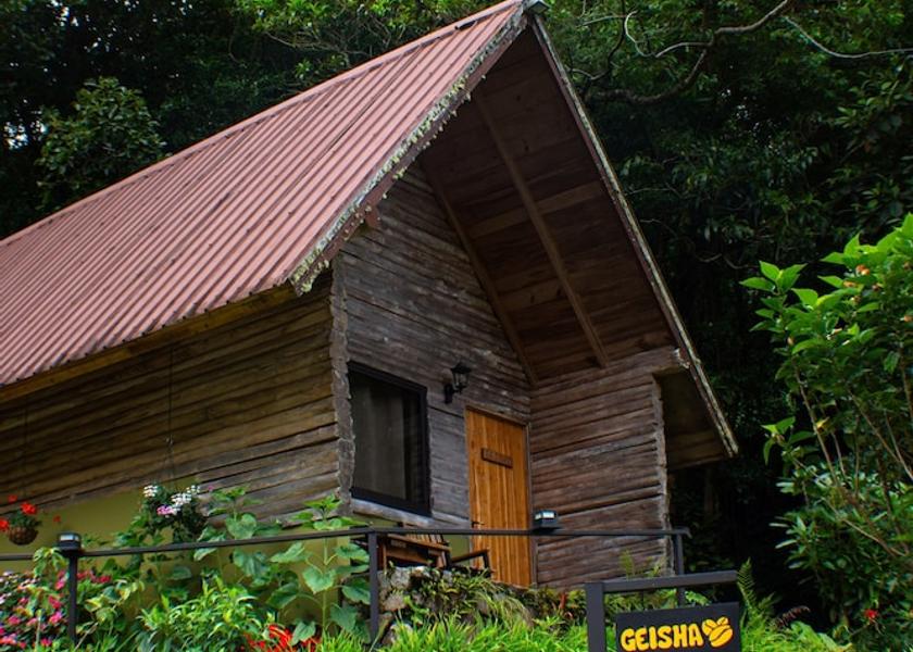 Chiriqui Boquete Room
