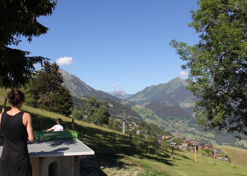 Canton of Vaud Leysin Property grounds