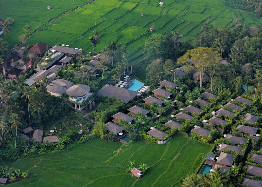 Bali Ubud Primary image