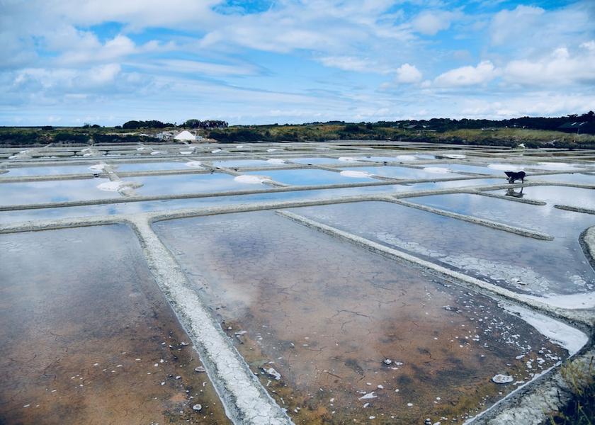 Pays de la Loire Saint-Nazaire Beach