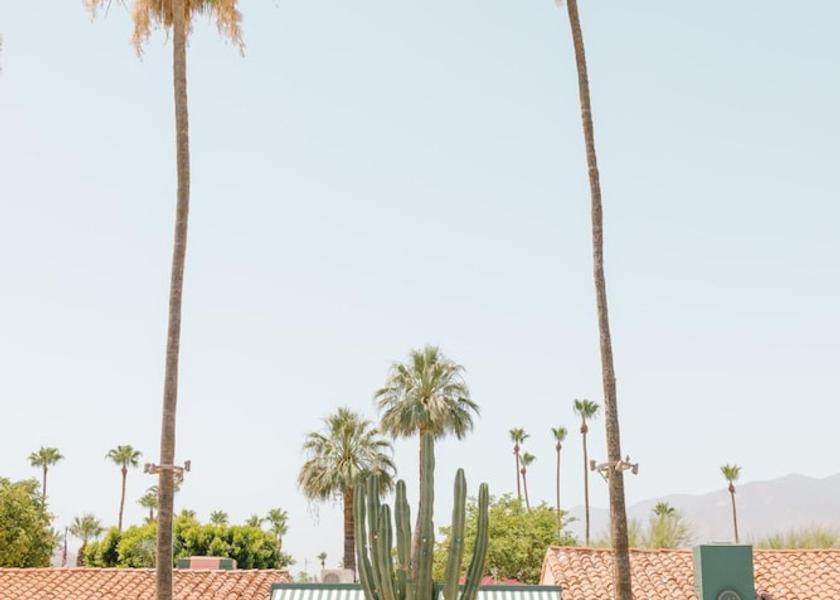 California Palm Springs Property Grounds