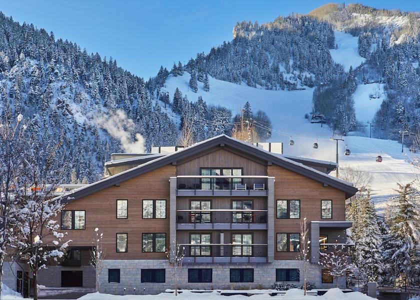 Colorado Aspen Primary image