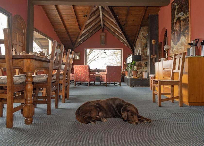 Tierra del Fuego Province Ushuaia Living area