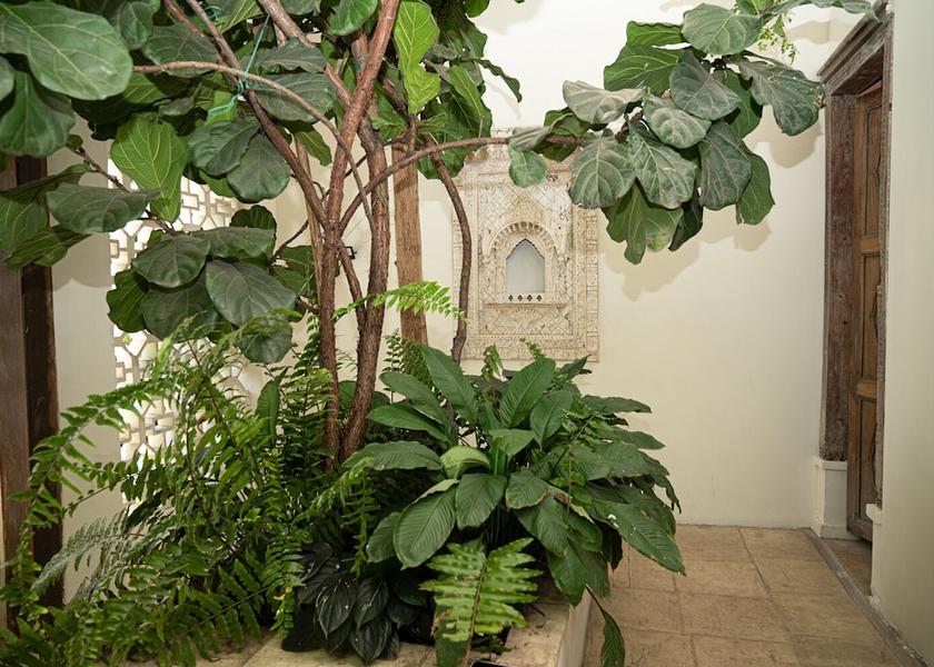 Valle del Cauca Cali Exterior Detail