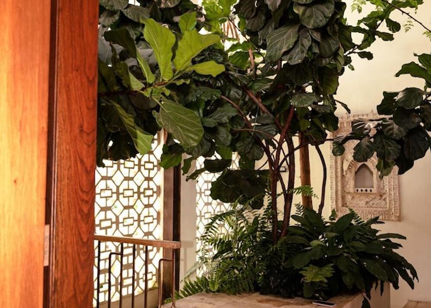 Valle del Cauca Cali Exterior Detail