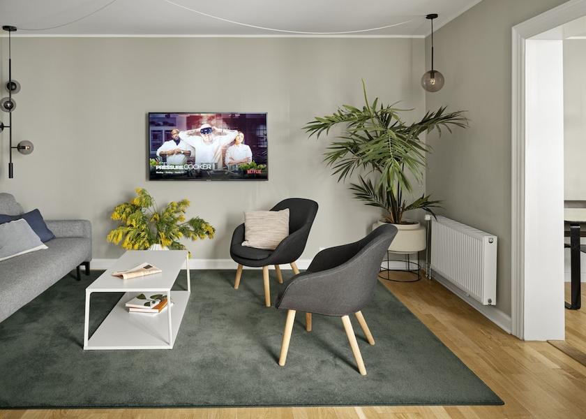 Hovedstaden Copenhagen Living area