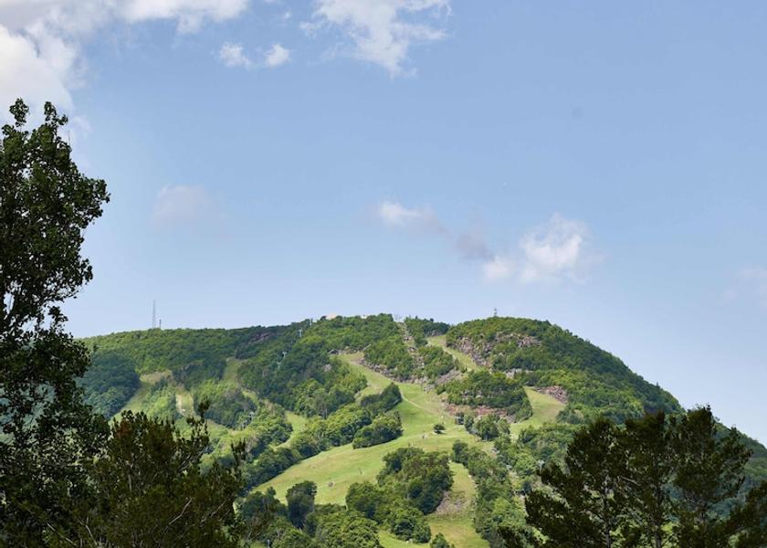 New York hunter Property Grounds