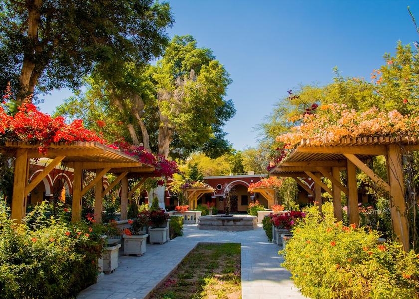 Ica (region) Ica Garden