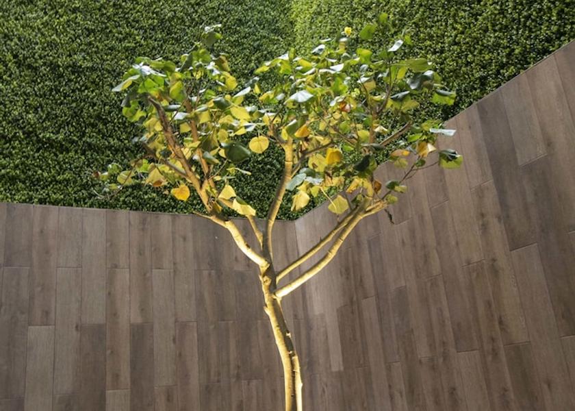 Lima (region) Lima Exterior Detail