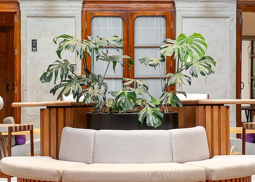  Mexico City Living area