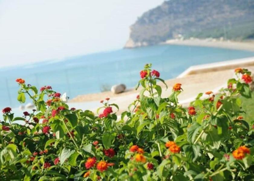 Puglia Mattinata View from Property