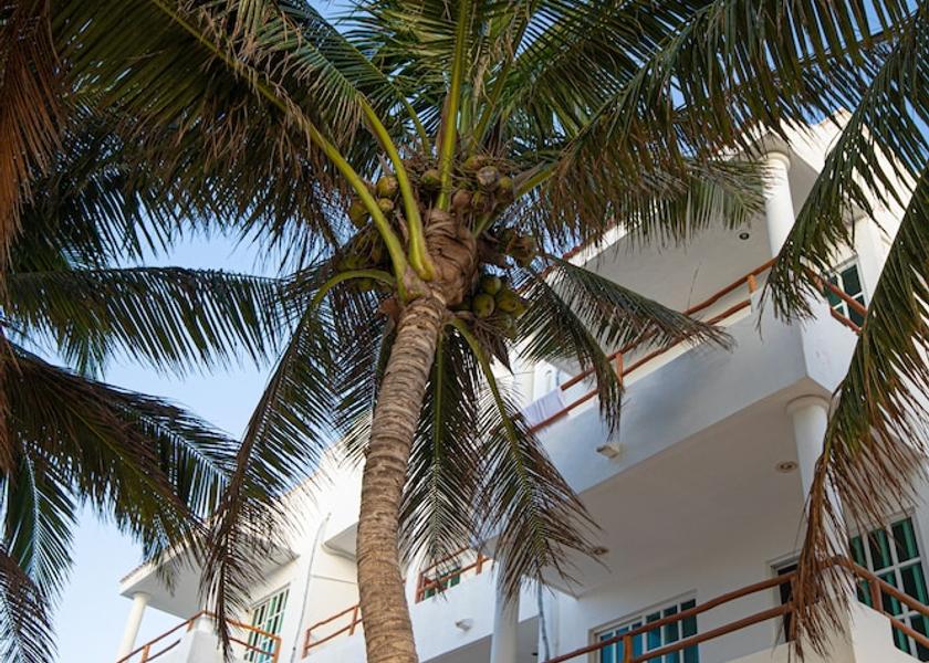 Quintana Roo Puerto Morelos Front of property