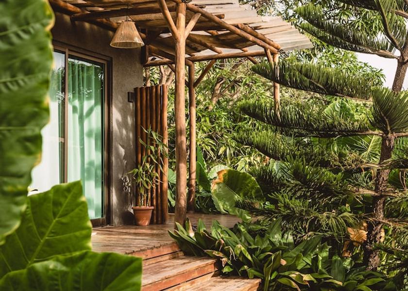Pernambuco Fernando de Noronha Garden