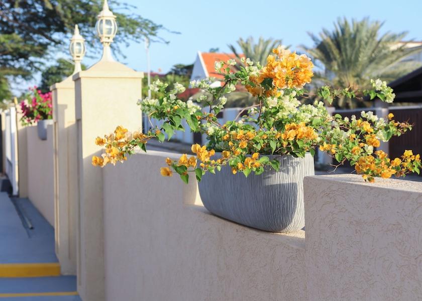  Oranjestad Entrance