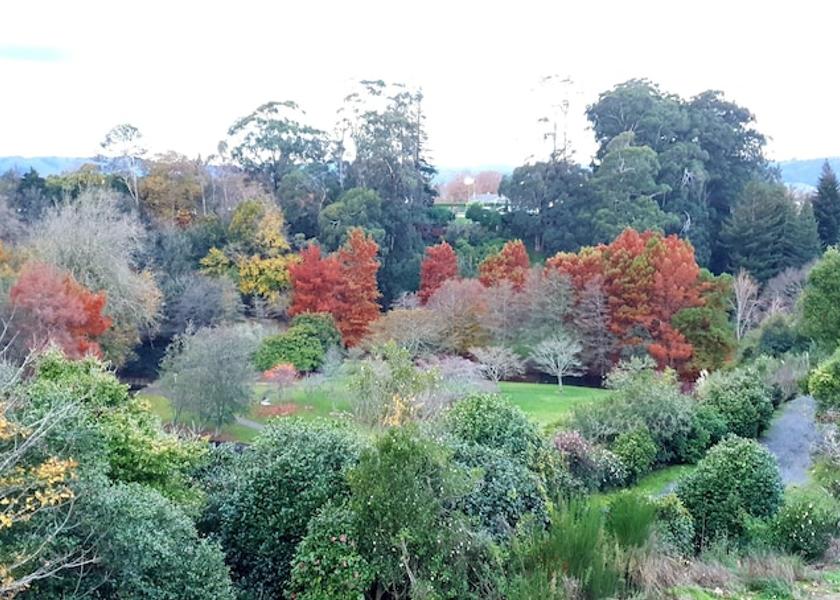 Waikato Cambridge Exterior Detail