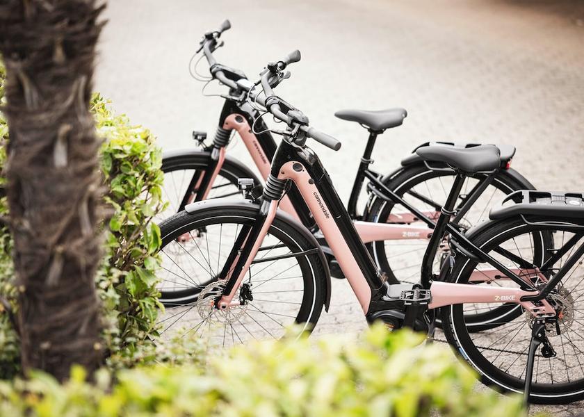 Canton of Ticino Locarno Bicycling