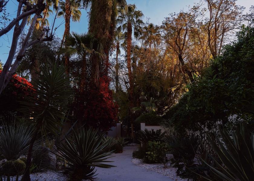 California Palm Springs Terrace