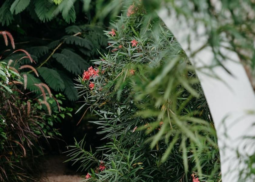  Pwani Mchangani Exterior