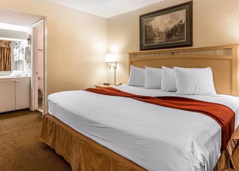 South Carolina Myrtle Beach Room