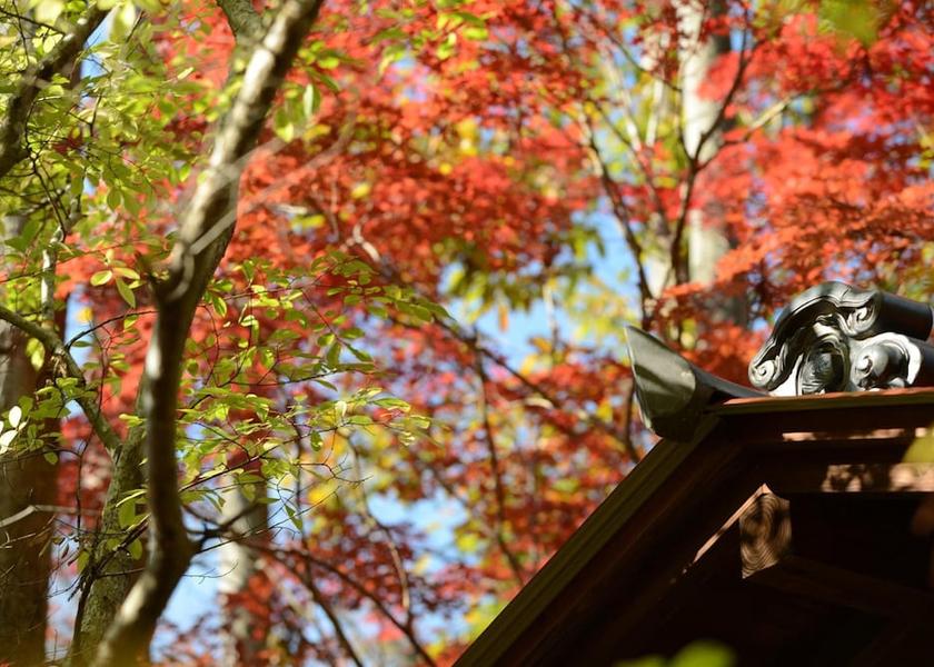 Oita Hita Property grounds