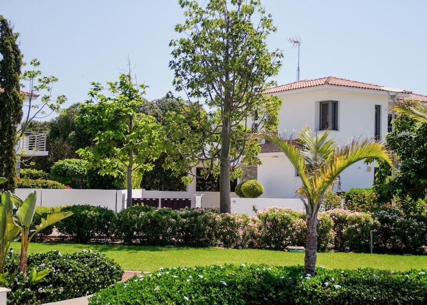 Larnaca District Mazotos Terrace