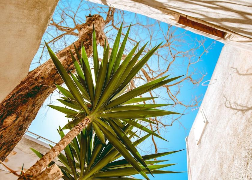 Crete Chania Terrace