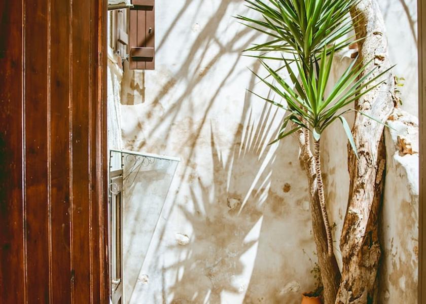 Crete Island Chania Terrace